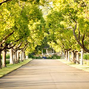 St. Supery Estate Vineyards & Winery photo