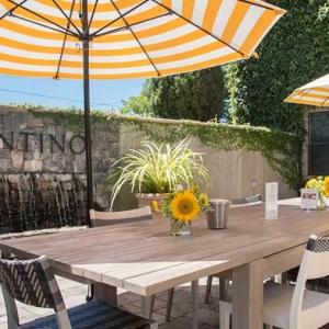 Cosentino Winery photo