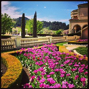 Ferrari-Carano Vineyards & Winery photo