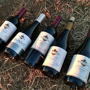 Kendall-Jackson Wine Estate & Gardens photo