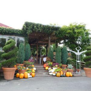 Bistro Don Giovanni photo