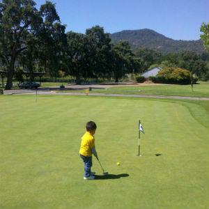 Vintner's Golf Club photo