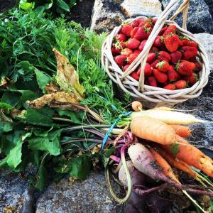 Napa Farmers' Market photo