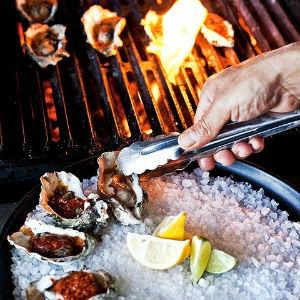 Hog Island Oyster Co photo