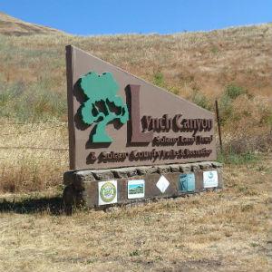 Lynch Canyon Open Space - Solano Land Trust photo