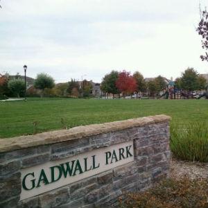 Gadwall Park photo