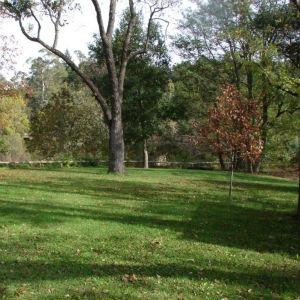 Stonebridge Park photo