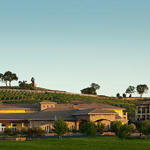 The Meritage Resort and Spa photo