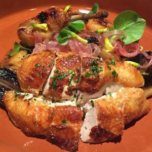 Glen Ellen Star photo