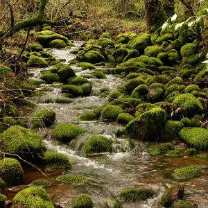 Annadel State Park photo
