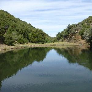Cloverdale River Park photo