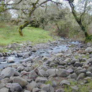 Crane Creek Regional Park photo