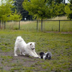 Ernie Smith Community Park photo