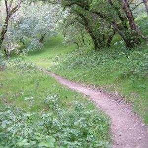 Foothill Regional Park photo