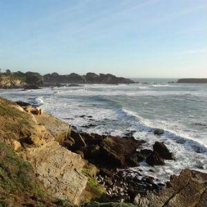 Gualala Point Regional Park photo