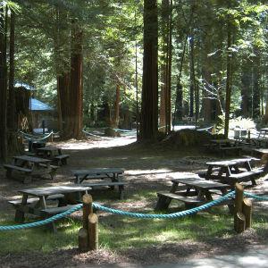 Gualala River Redwood Park photo