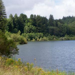 Riverfront Regional Park  photo