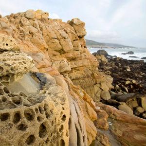 Salt Point State Park photo