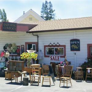 Enduring Comforts photo