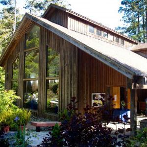 Gualala Arts Dolphin photo