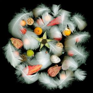 Sonoma County Art Trails photo