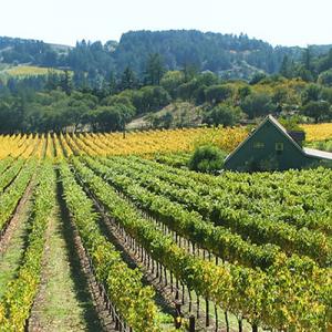 Napa Vacation Homes photo