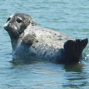 King’s Sport & Tackle photo