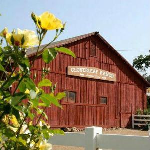 Cloverleaf Ranch photo