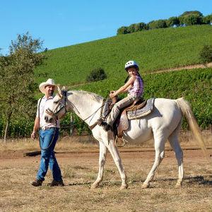 Triple Creek Horse Outfit photo