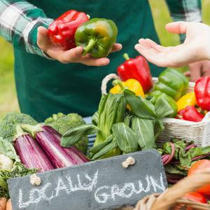 Forestville Farmers' Market photo