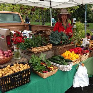 Healdsburg Farmers' Market photo