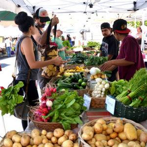 Sebastopol Farmers' Market photo