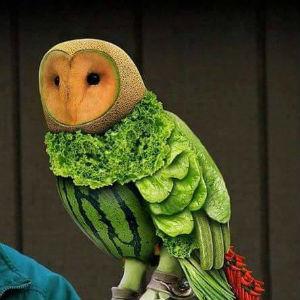 Valley of the Moon Certified Farmers Market photo