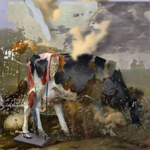 Napa Valley Museum photo