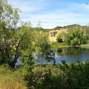 Healdsburg Ridge Open Space Preserve photo