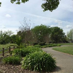 Pleasant Avenue Park photo