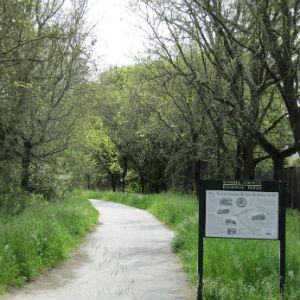 Joe Rodota Trail photo