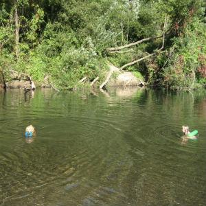 Steelhead Beach photo