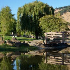 Rincon Valley Community Park photo