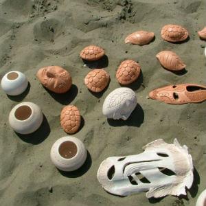 Sebastopol Gallery photo