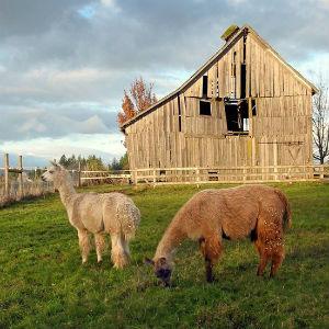 Riverfront Art Gallery photo