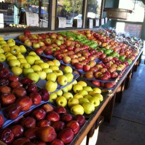 Fruit Basket 2 photo