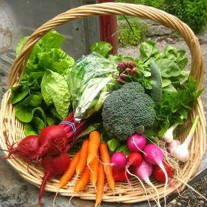 First Light Farm Store photo