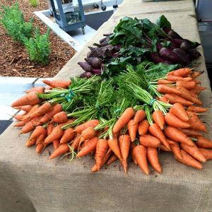 Windsor Certified Farmers Market photo