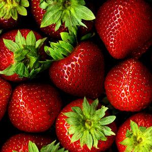 Stony Point Strawberry Farm photo