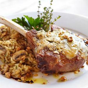 Gourmet Italia photo