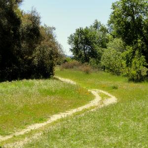Garland Ranch Regional Park photo