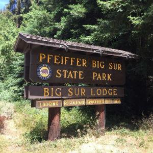Pfeiffer Big Sur State Park photo