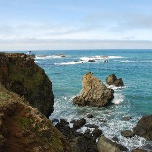 Jug Handle State Natural Reserve photo