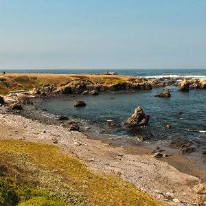 MacKerricher State Park photo